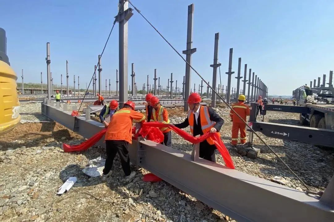 利来囯际·w66(中国)最老牌官方网站