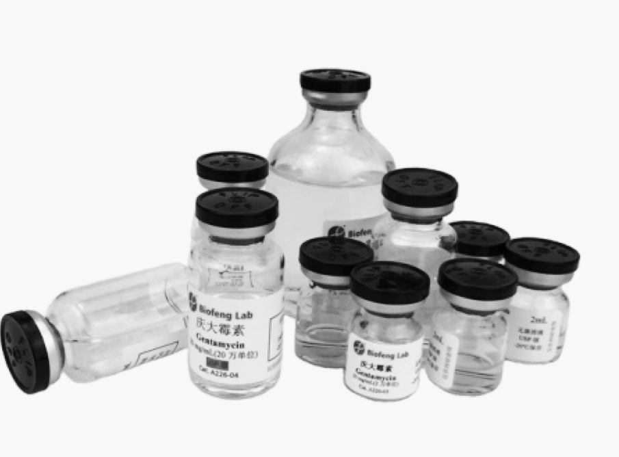 利来囯际·w66(中国)最老牌官方网站