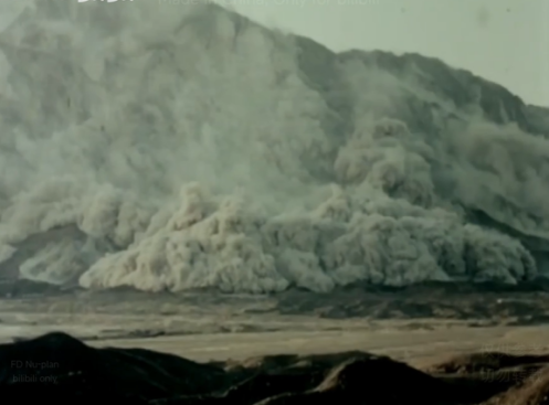 利来囯际·w66(中国)最老牌官方网站